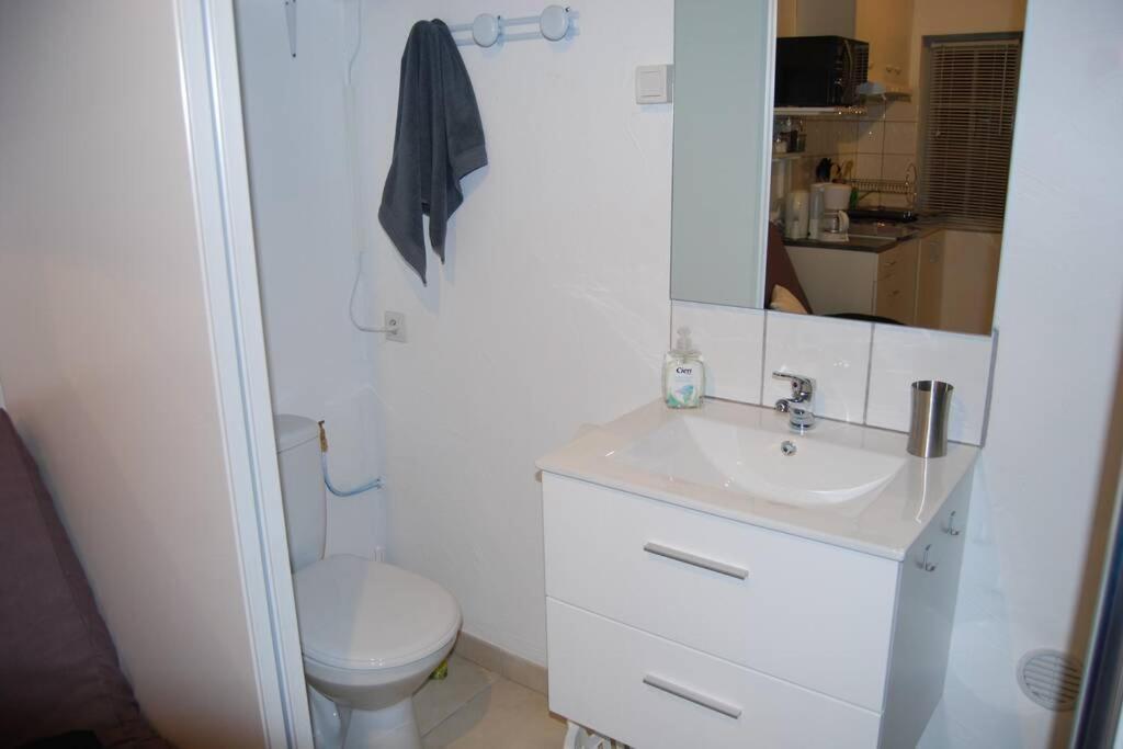 L'Atelier A 100 M De Tarbes Sud Villa Laloubere Ngoại thất bức ảnh